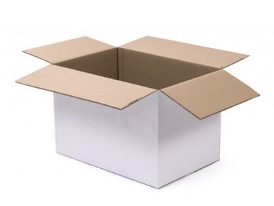 Beyaz Taşıma Kolisi